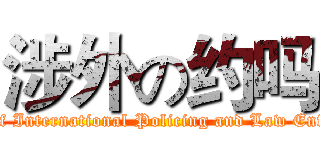 涉外の约吗 (Brigade of International Policing and Law Enforcement)