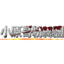 小原哥粉絲團 (attack on titan)