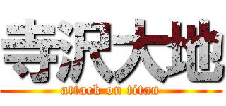 寺沢大地 (attack on titan)