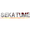 ＳＥＫＡＴＵＭＥ (sekatume)