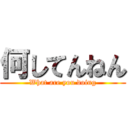 何してんねん (What are you doing)