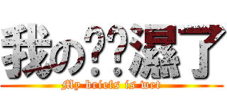 我の內褲濕了 (My briefs is wet)