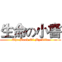 生命の小書 (The Book Of My Life)