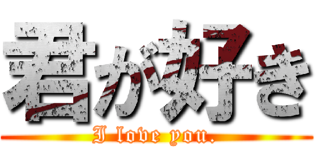 君が好き (I love you.)