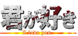 君が好き (I love you.)