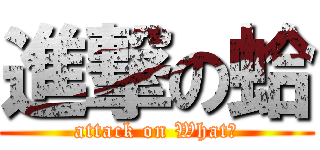 進撃の蛤 (attack on What?)