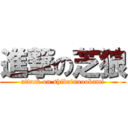 進撃の芝狼 (attack on shibainuookami)