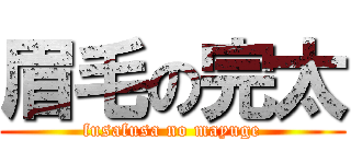 眉毛の完太 (fusafusa no mayuge)