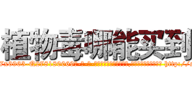 植物毒哪能买到 (植物毒哪能买到【电-186x2687x6963-Q278180069元-吉-药-业】我们做的是长期生意,靠的是老客户长期支持 http://sngk.net/ozGcKs
)
