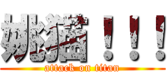 姚猫！！！ (attack on titan)