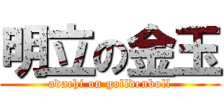 明立の金玉 (adachi on golldenboll)