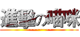 進擊の喵咪 (~~~~~~~~)