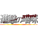 進擊の喵咪 (~~~~~~~~)