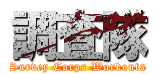 調査隊 (Survey Corps Workouts)