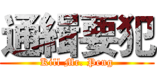 通緝要犯 (Kill Mr. Peng)