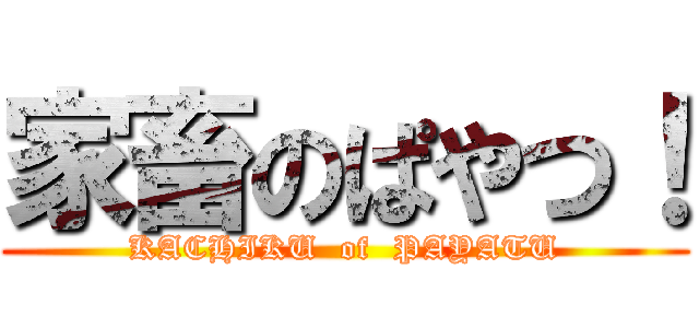 家畜のぱやつ！ (KACHIKU  of  PAYATU)
