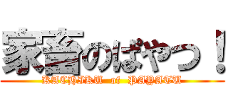 家畜のぱやつ！ (KACHIKU  of  PAYATU)