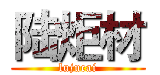 陆炬材 (lujucai)