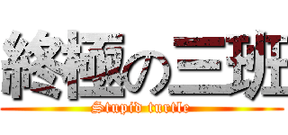 終極の三班 (Stupid turtle)