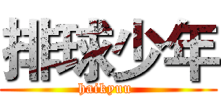 排球少年 (haikyuu )