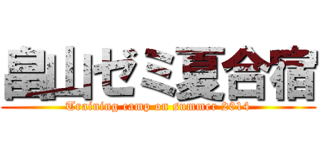 畠山ゼミ夏合宿 (Training camp on summer 2014)