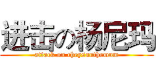 进击の杨尼玛 (attack on cheysanthemum)