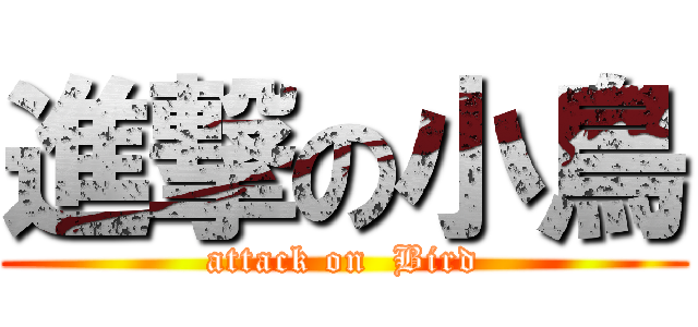 進撃の小鳥 (attack on  Bird)