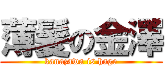 薄髪の金澤 (kanazawa is hage)