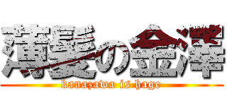 薄髪の金澤 (kanazawa is hage)