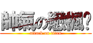 帥氣の戀楓婷 (attack on titan)