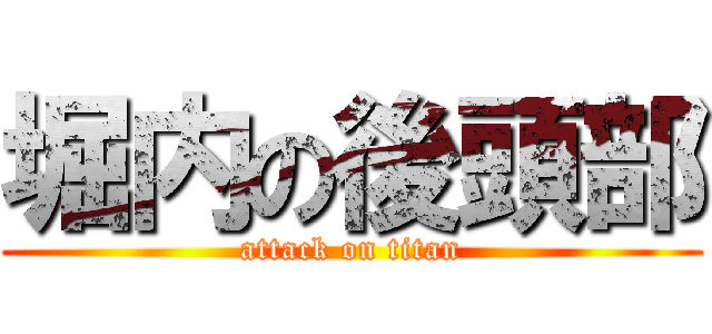 堀内の後頭部 (attack on titan)