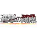 進撃の鮪魚 (Jin Shock   Tuna)