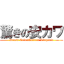 驚きの安カワ (Dress ColorContact Lingerie)