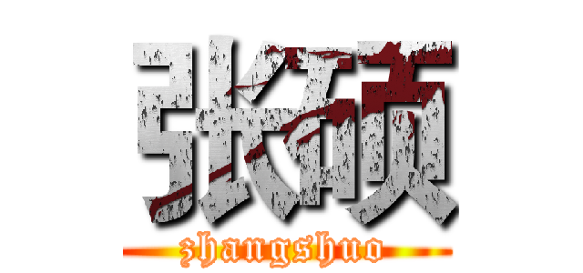 张硕 (zhangshuo)