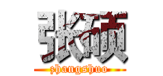 张硕 (zhangshuo)