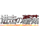 进击の蘑菇 (mushroom and steam bun)