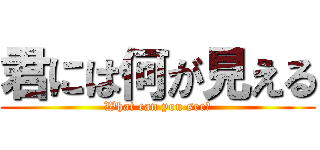 君には何が見える (What can you see?)