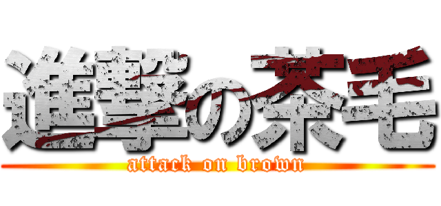進撃の茶毛 (attack on brown)