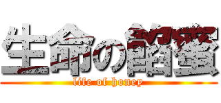 生命の餡蜜 (life of honey)