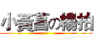 小黃菖の楊拍 ()