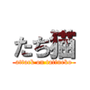 たち猫 (attack on tatineko)