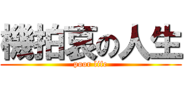 機拍哀の人生 (poor life)