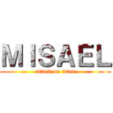 ＭＩＳＡＥＬ (attack on titan)