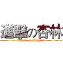 進擊の杏林 (attack on Xinglin)