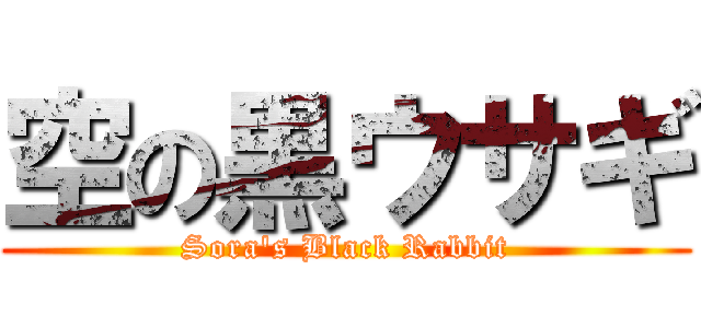 空の黒ウサギ (Sora\'s Black Rabbit)