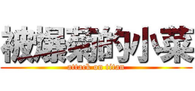 被爆菊的小菜 (attack on titan)