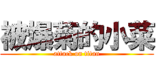 被爆菊的小菜 (attack on titan)
