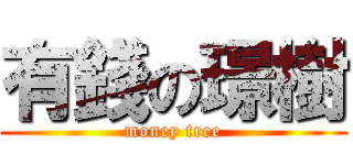 有錢の璟樹 (money tree)