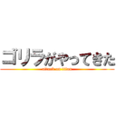 ゴリラがやってきた (attack on titan)