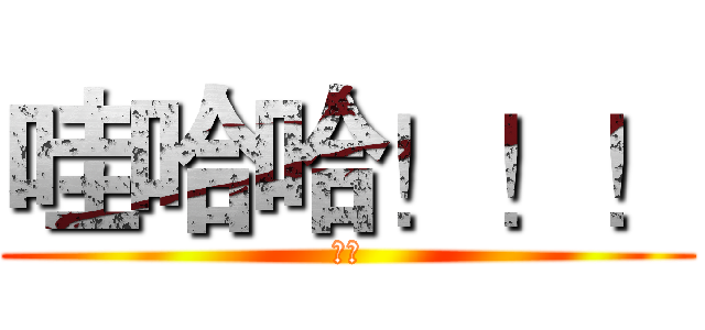 哇哈哈！！！ (大豬)